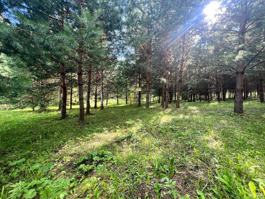 Продам участок 12 соток, Фермерское хоз., Подосинки д, 0 км от города