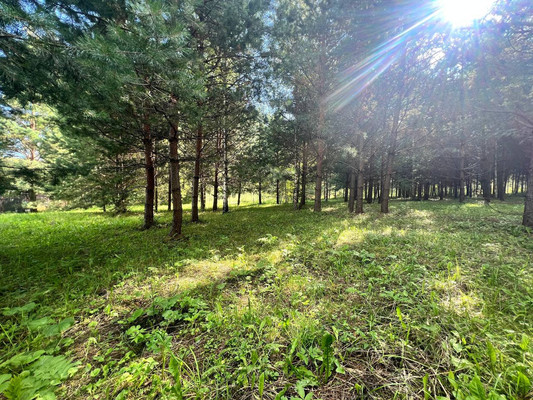 Продам участок 12 соток, Фермерское хоз., Подосинки д, 0 км от города