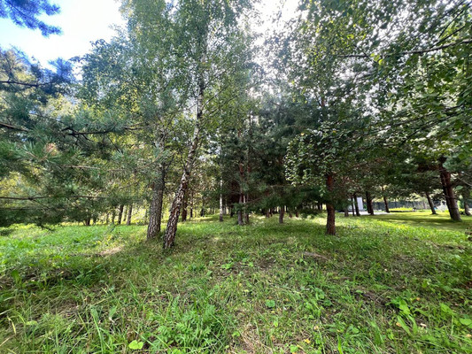 Продам участок 12 соток, Фермерское хоз., Подосинки д, 0 км от города