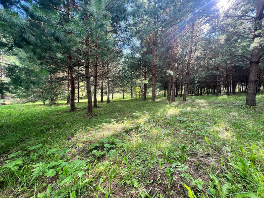 Продам участок 12 соток, Фермерское хоз., Подосинки д, 0 км от города