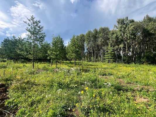 Продам участок 14,15 соток, Фермерское хоз., Подосинки д, 0 км от города