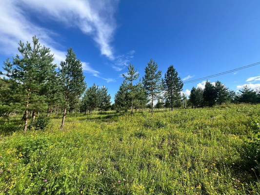 Продам участок 14,15 соток, Фермерское хоз., Подосинки д, 0 км от города