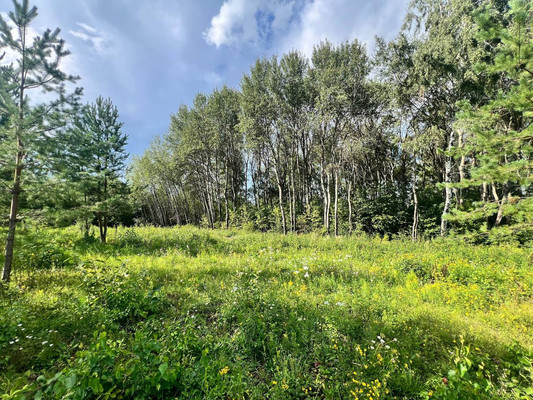 Продам участок 14,15 соток, Фермерское хоз., Подосинки д, 0 км от города