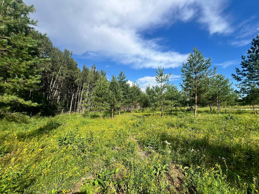 Продам участок 14,15 соток, Фермерское хоз., Подосинки д, 0 км от города