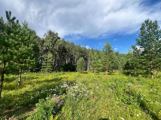 Продам участок 14,15 соток, Фермерское хоз., Подосинки д, 0 км от города