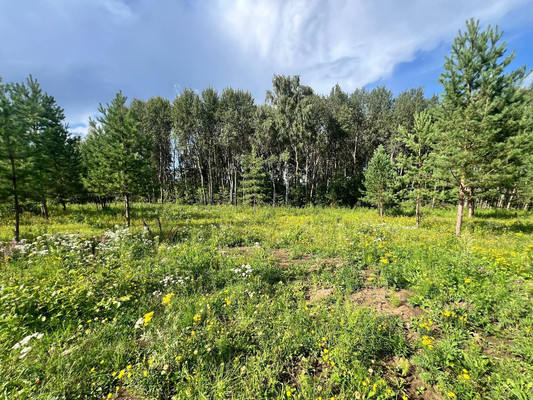 Продам участок 14,15 соток, Фермерское хоз., Подосинки д, 0 км от города