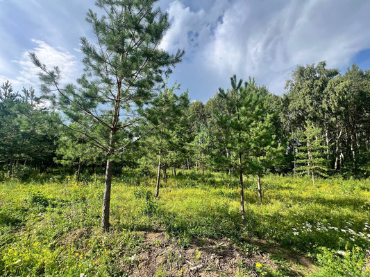 Продам участок 14,15 соток, Фермерское хоз., Подосинки д, 0 км от города