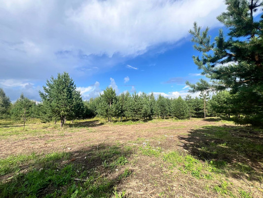 Продам участок 10,89 соток, Фермерское хоз., Подосинки д, 0 км от города