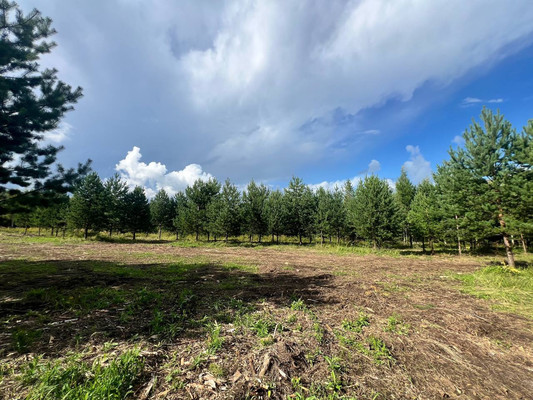 Продам участок 10,89 соток, Фермерское хоз., Подосинки д, 0 км от города