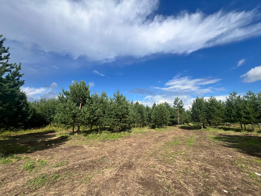 Продам участок 10,89 соток, Фермерское хоз., Подосинки д, 0 км от города