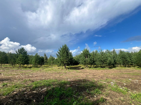 Продам участок 10,89 соток, Фермерское хоз., Подосинки д, 0 км от города