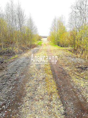 Продам участок 75 соток, ИЖС, Ромашки п, 90 км от города