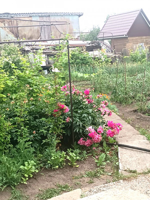 Продам дом, Вишневая ул, Барнаул г, 0 км от города