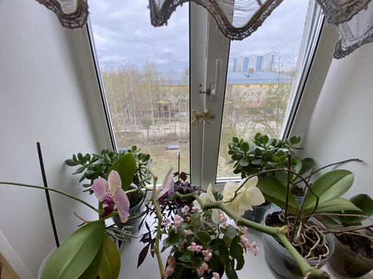 Продам двухкомнатную (2-комн.) квартиру, Интернациональная ул, 26, Нижневартовск г