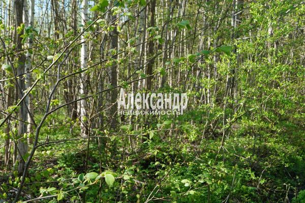 Продам участок 10 соток, Садоводство, 491, СНТ Надежда массива Нечеперть тер, 100 км от города