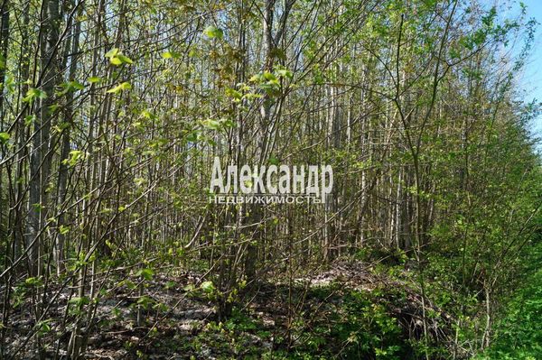 Продам участок 10 соток, Садоводство, 491, СНТ Надежда массива Нечеперть тер, 100 км от города