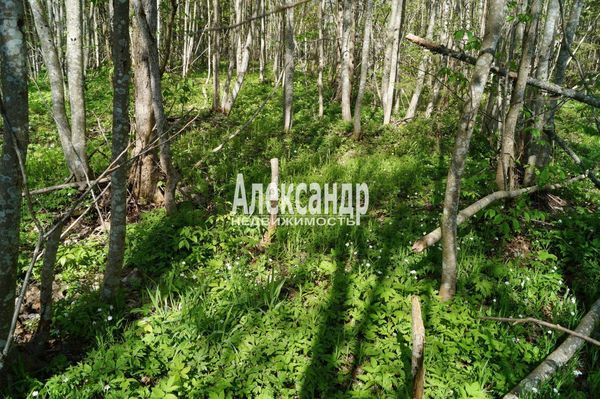 Продам участок 10 соток, Садоводство, 491, СНТ Надежда массива Нечеперть тер, 100 км от города