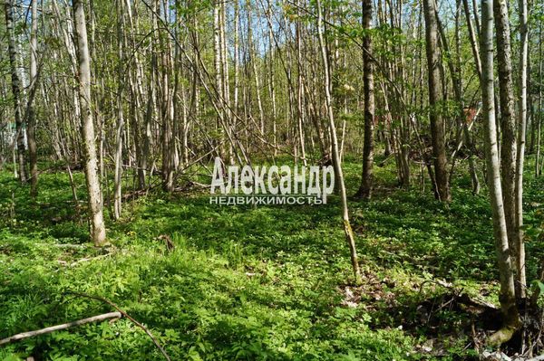 Продам участок 10 соток, Садоводство, 491, СНТ Надежда массива Нечеперть тер, 100 км от города