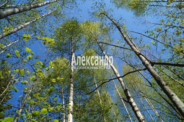 Продам участок 10 соток, Садоводство, 491, СНТ Надежда массива Нечеперть тер, 100 км от города