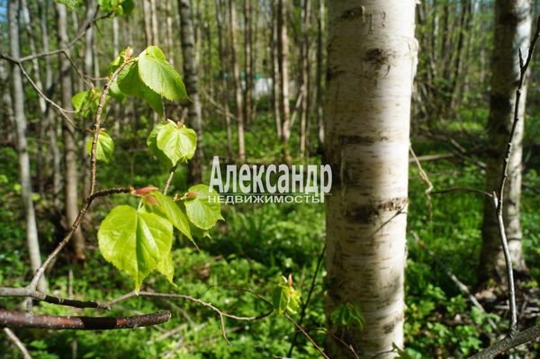 Продам участок 10 соток, Садоводство, 491, СНТ Надежда массива Нечеперть тер, 100 км от города