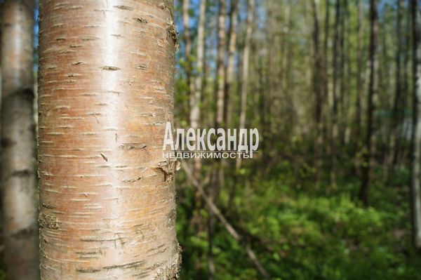 Продам участок 10 соток, Садоводство, 491, СНТ Надежда массива Нечеперть тер, 100 км от города