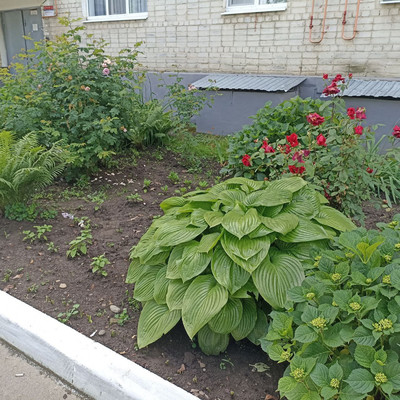 Продам двухкомнатную (2-комн.) квартиру, Пионерская ул, 416, Майкоп г