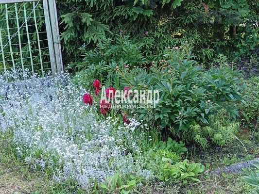 Продам дачу, Заозерное тер. ТСН, 1467, Мертуть массив, 10 км от города