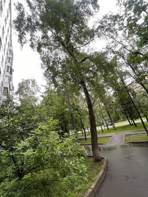 Продам трехкомнатную (3-комн.) квартиру, Голубинская ул, 15к10, Москва г