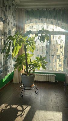 Продам дом, Бурцево д, 0 км от города
