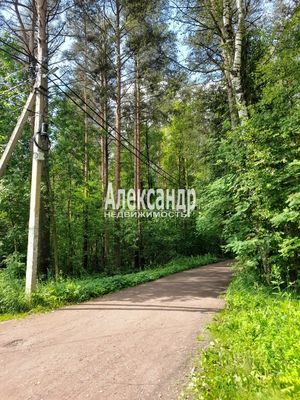 Продам дачу в поселке Гатчинский район, массив Корпиково, СНТ &amp;quot;ЛЭТЗ&amp;quot;, цех 11, ЛЭТЗ цех 11 тер. СНТ, 32, Корпиково массив, 46 км от города