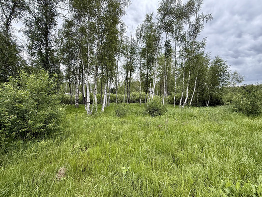 Продам участок 9,3 соток, ИЖС, дачной застройки Дмитровское полесье тер, Сергейково д, 0 км от города