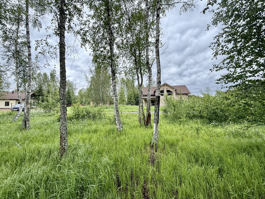 Продам участок 9,3 соток, ИЖС, дачной застройки Дмитровское полесье тер, Сергейково д, 0 км от города