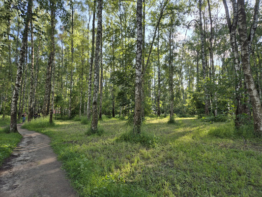 Продам двухкомнатную (2-комн.) квартиру, Дмитровская ул, 14, Базарово д