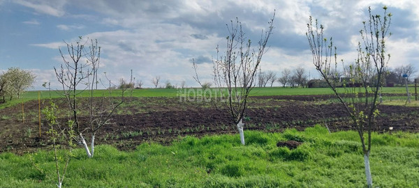 Продам дом, Вишневая ул, 20, Нововладимировская ст-ца, 0 км от города