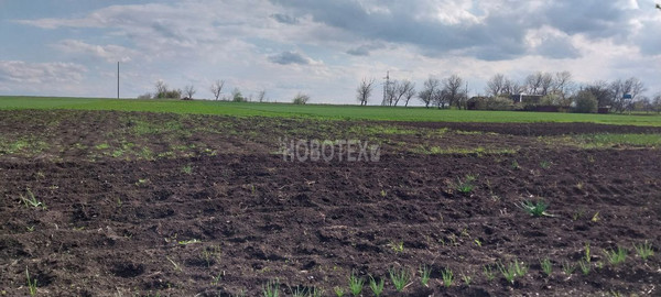 Продам дом, Вишневая ул, 20, Нововладимировская ст-ца, 0 км от города