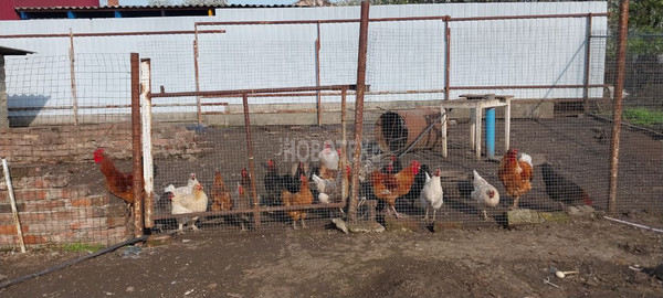 Продам дом, Вишневая ул, 20, Нововладимировская ст-ца, 0 км от города