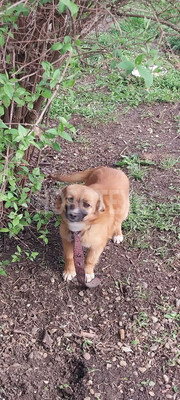 Продам дом, Вишневая ул, 20, Нововладимировская ст-ца, 0 км от города