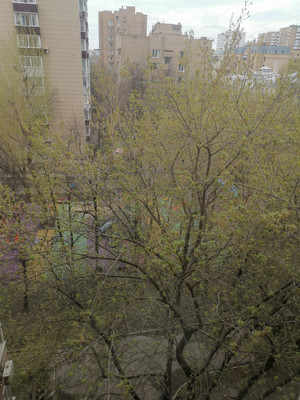 Продам многокомнатную квартиру, Староконюшенный пер, 32, Москва г