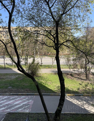 Продам однокомнатную (1-комн.) квартиру, Будённого пр-кт, 28, Москва г