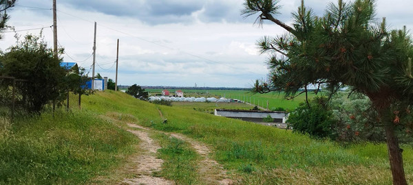 Продам участок 6 соток, Фермерское хоз., Береговое с, 0 км от города