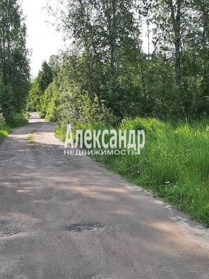 Продам участок 10 соток, Садоводство, Бор п, 150 км от города