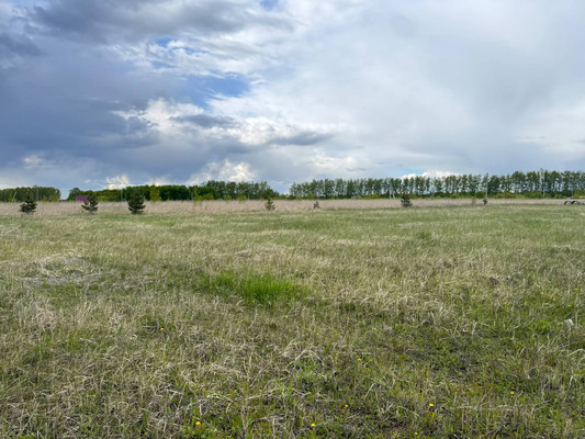Продам участок 15 соток, ИЖС, Лесная ул, 2, Богословское с, 0 км от города