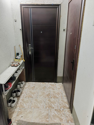 Продам двухкомнатную (2-комн.) квартиру, Шишкова ул, 107, Воронеж г