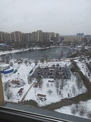 Продам двухкомнатную (2-комн.) квартиру, Озерная ул, 6А, Новое Девяткино д