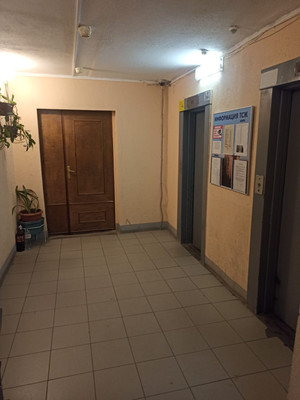 Продам двухкомнатную (2-комн.) квартиру, Озерная ул, 6А, Новое Девяткино д