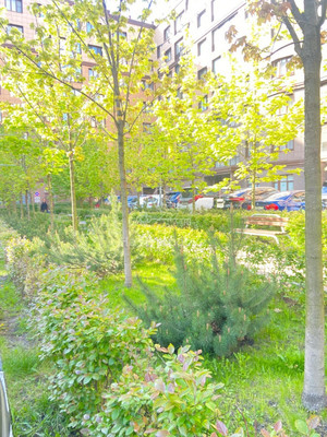 Продам трехкомнатную (3-комн.) квартиру, 1к1, Сосенки д