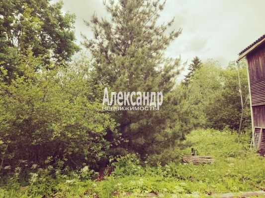 Продам дом в поселке Дружная горка, Дружная Горка гп, 60 км от города