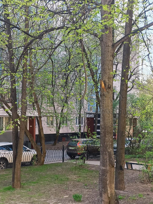 Продам многокомнатную квартиру, Академика Бочвара ул, 3к1, Москва г
