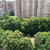 Продам трехкомнатную (3-комн.) квартиру, им. Тюляева ул, 8, Краснодар г