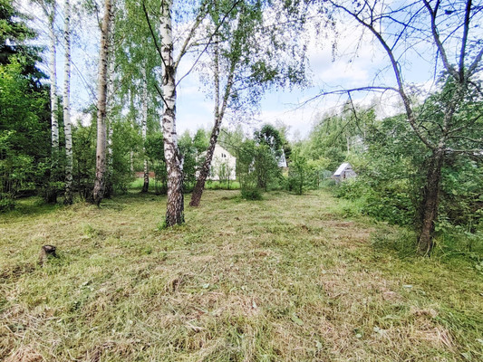 Продам дачу, СПК Тушино тер, 100, Каменка д, 0 км от города